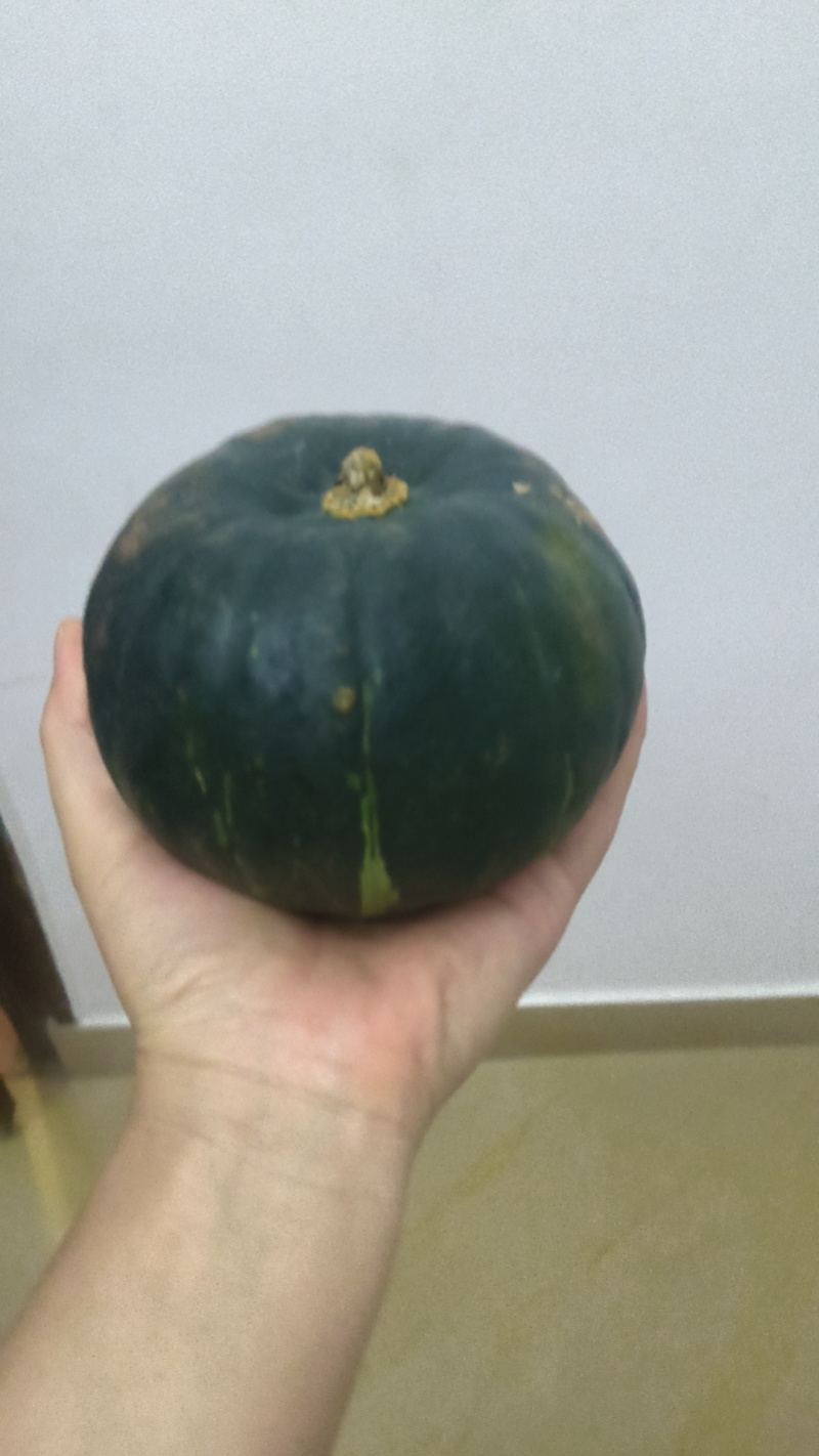 一千亩贝贝南瓜