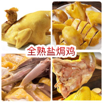 全熟盐焗鸡地摊电商批发五指毛桃盐焗鸡真空盐焗鸡熟食鸡