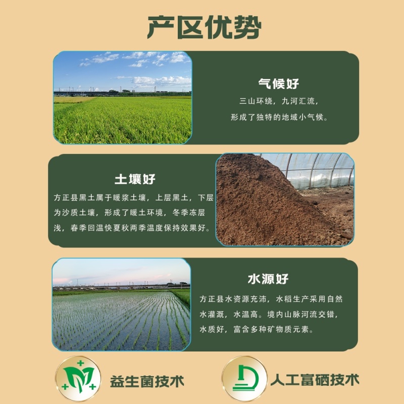 黑龙江富硒龙稻大米5kg产地直供