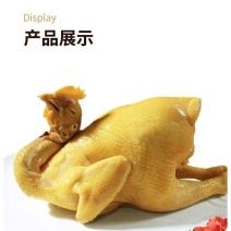 全熟盐焗鸡地摊电商批发五指毛桃盐焗鸡真空盐焗鸡熟食鸡