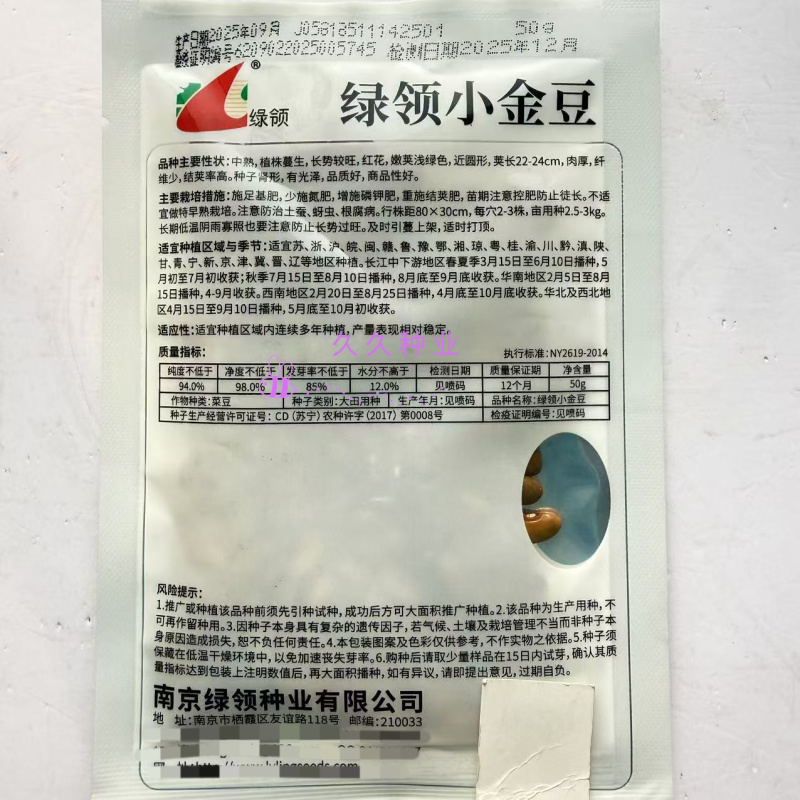 绿领小金豆种子中熟红花浅绿荚四季豆种子肉厚纤维少四季豆种
