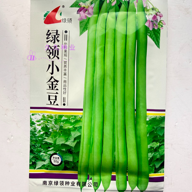绿领小金豆种子中熟红花浅绿荚四季豆种子肉厚纤维少四季豆种