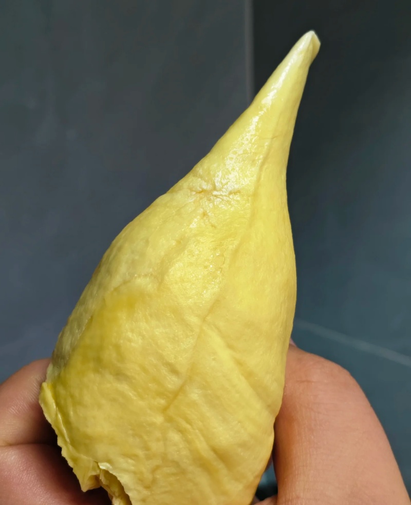 金枕榴莲一手批发价格，坏果包赔
