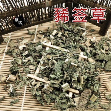 豨签草新货稀莶草稀见草豨签草中药材草药保质保批发零售