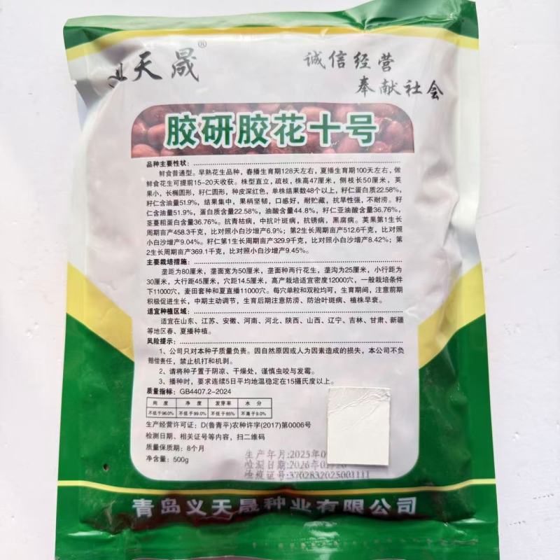 胶研胶花十号花生种子鲜食普通型早熟深红皮花生种籽抗旱强