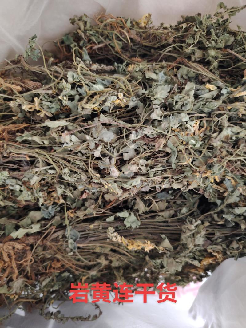 岩黄连06年产新