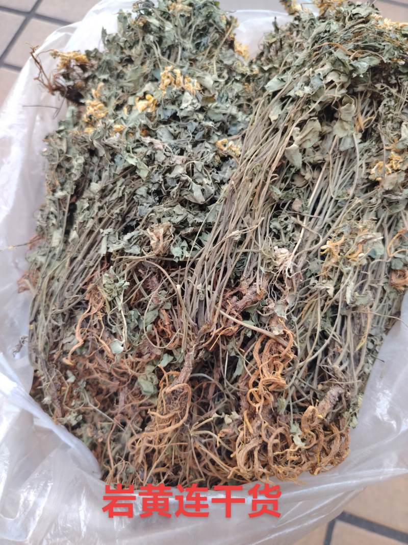 岩黄连06年产新