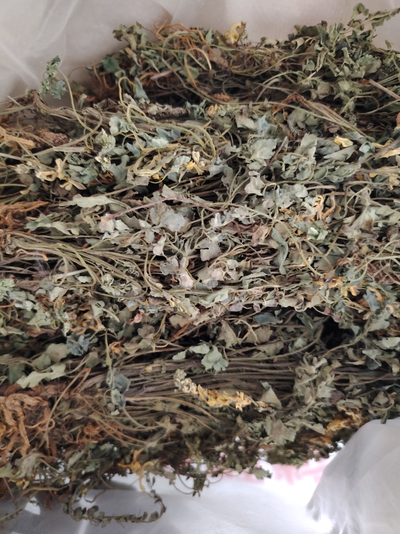 岩黄连06年产新