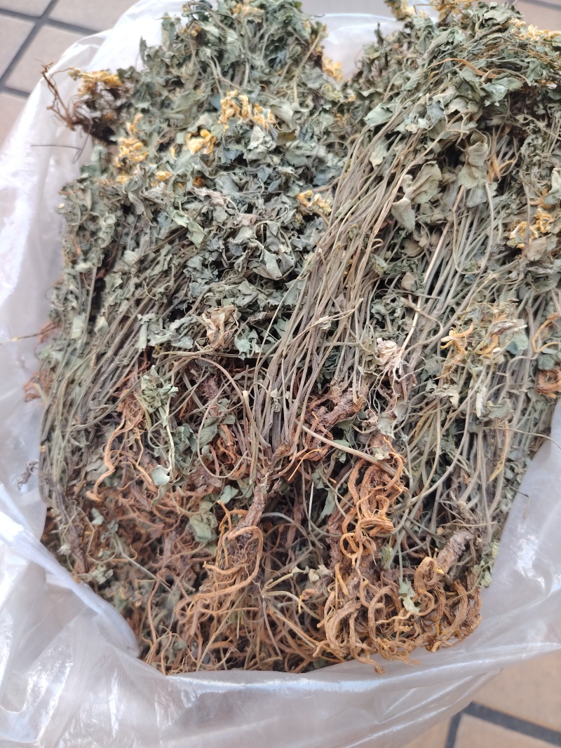 岩黄连06年产新