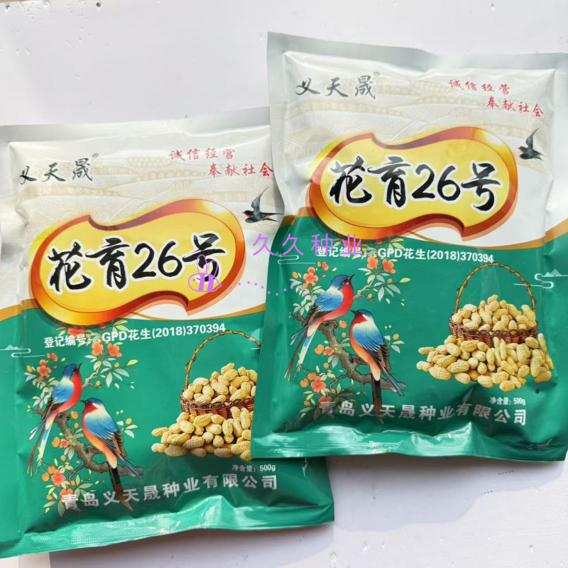 花育26号花生种子早熟油食兼用小花生种籽矮杆榨油高油