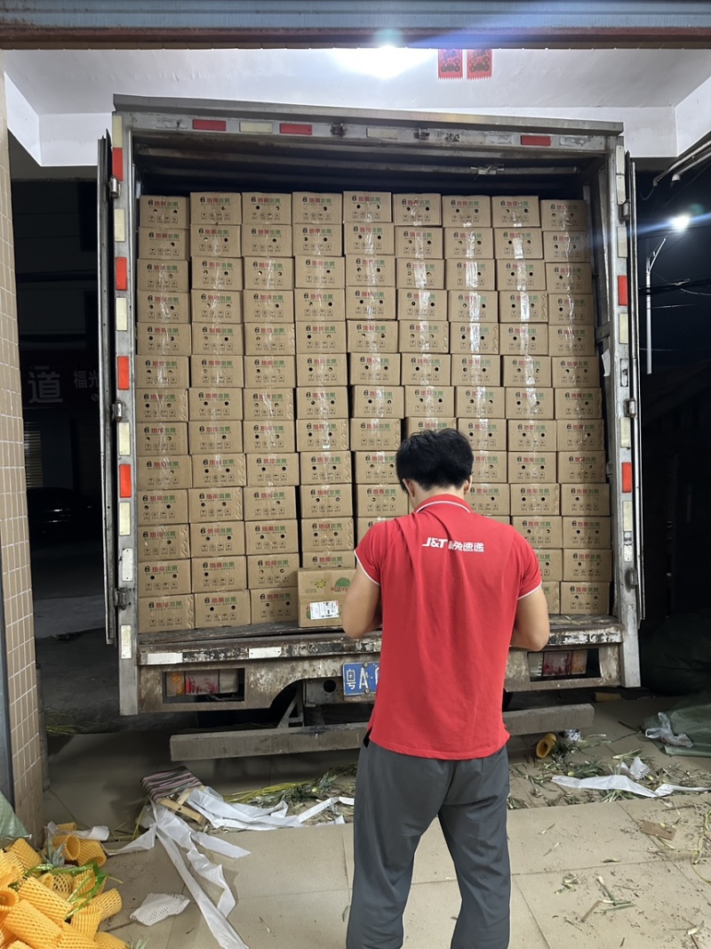 海南凤梨金钻市场电商一件代发