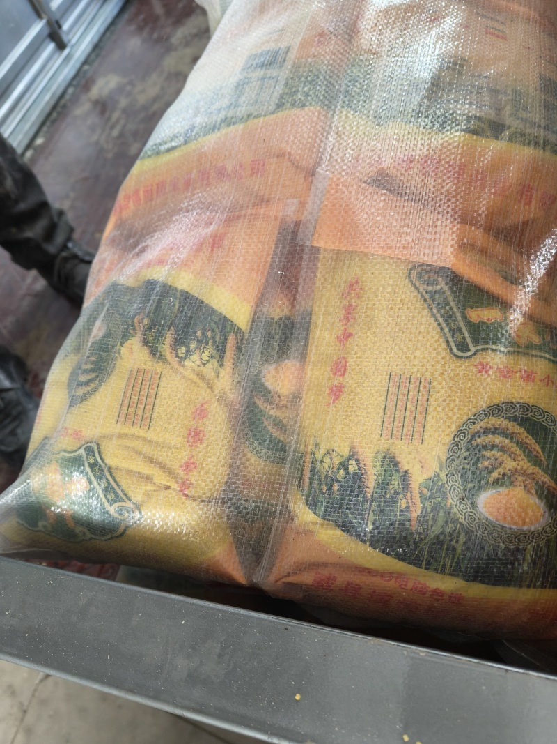 小米价格美丽欢迎联系品质保证服务周到产地直供