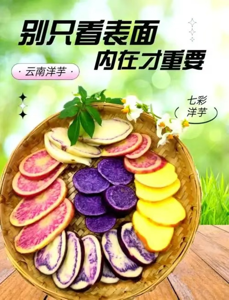 云南精品七彩土豆