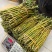 云南铁皮石斛鲜条