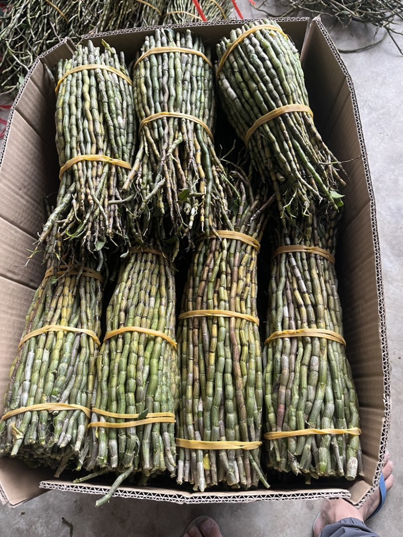 云南铁皮石斛鲜条