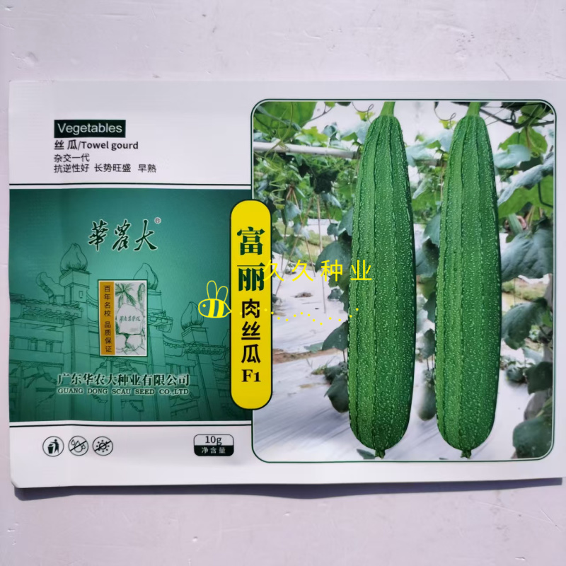 富丽肉丝瓜杂交一代棱形丝瓜种子抗逆性好早熟品种口感脆甜