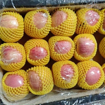 高原纸加膜红富士苹果，货源充足，有冷库框装货，也有袋装货