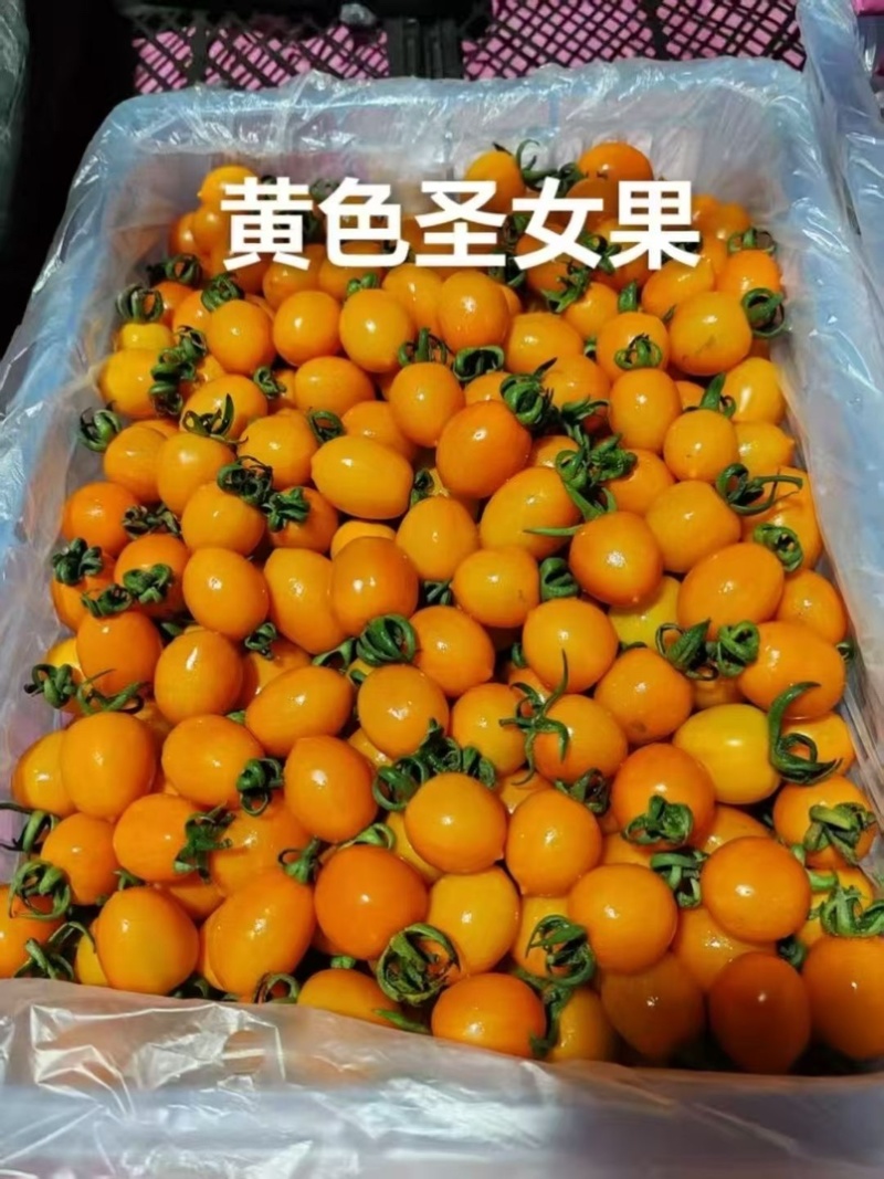 圣女果全国供应整车批发一件代发社区团购包售后高品质代发