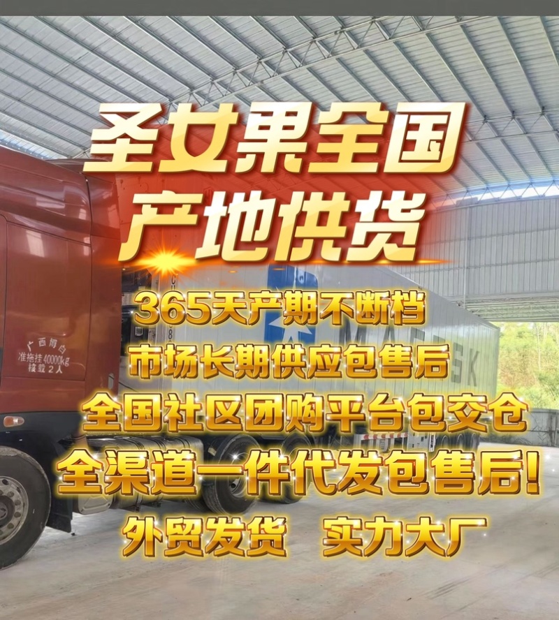 圣女果全国供应整车批发一件代发社区团购包售后高品质代发
