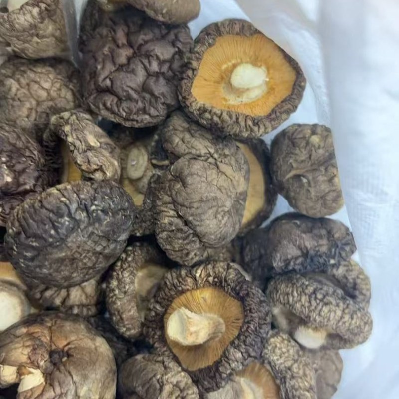 干香菇