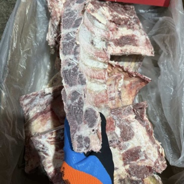牛脊骨排可当牛肋排用