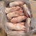 带筋猪蹄（牧原）