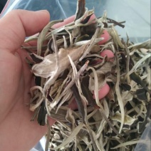 云南月光白茶叶产地直发，一手货源，价格优惠，欢迎采购