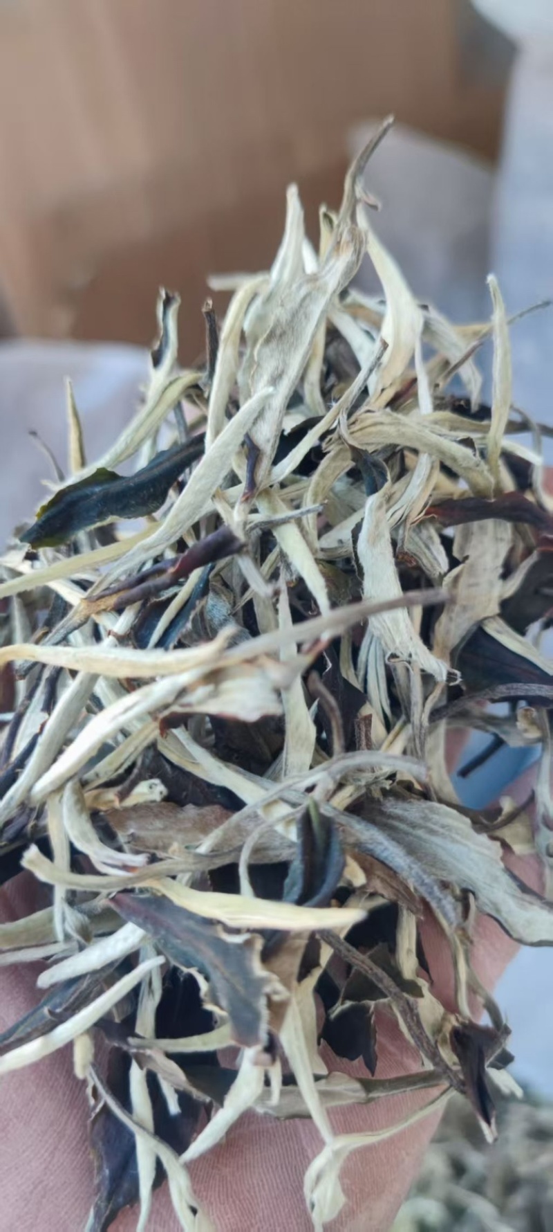 云南月光白茶叶产地直发，一手货源，价格优惠，欢迎采购