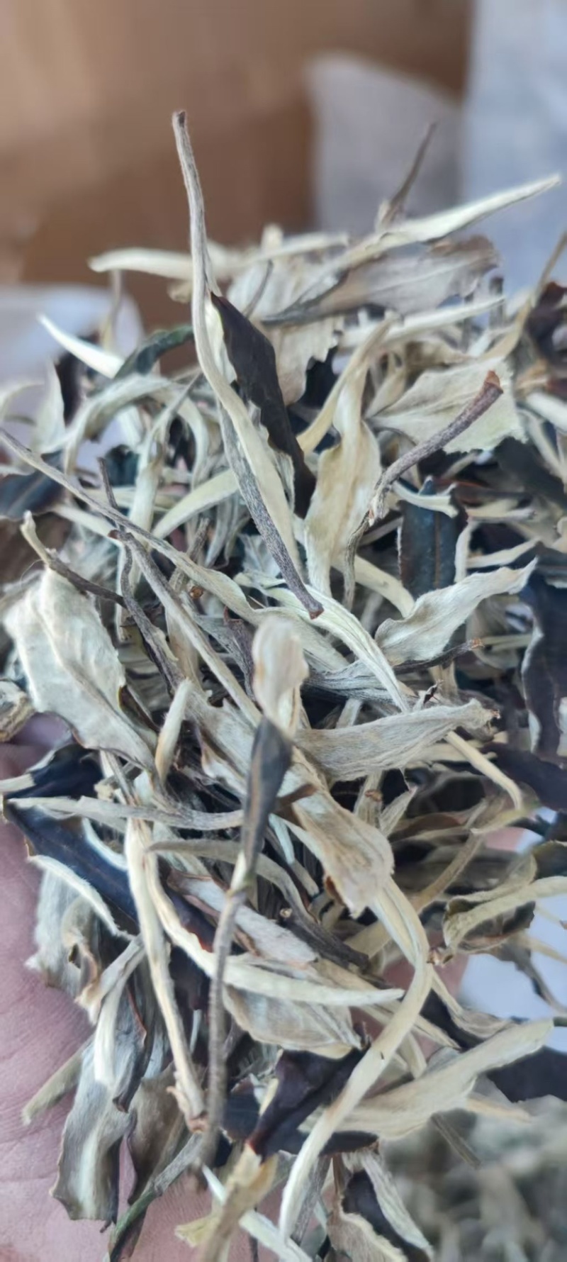 云南月光白茶叶产地直发，一手货源，价格优惠，欢迎采购