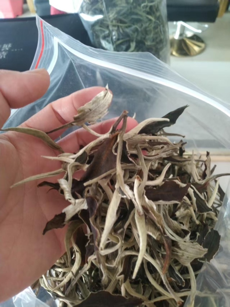 云南月光白茶叶产地直发，一手货源，价格优惠，欢迎采购