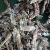 200吨羊蹄出售/量大从优/工厂直发/欢迎下单