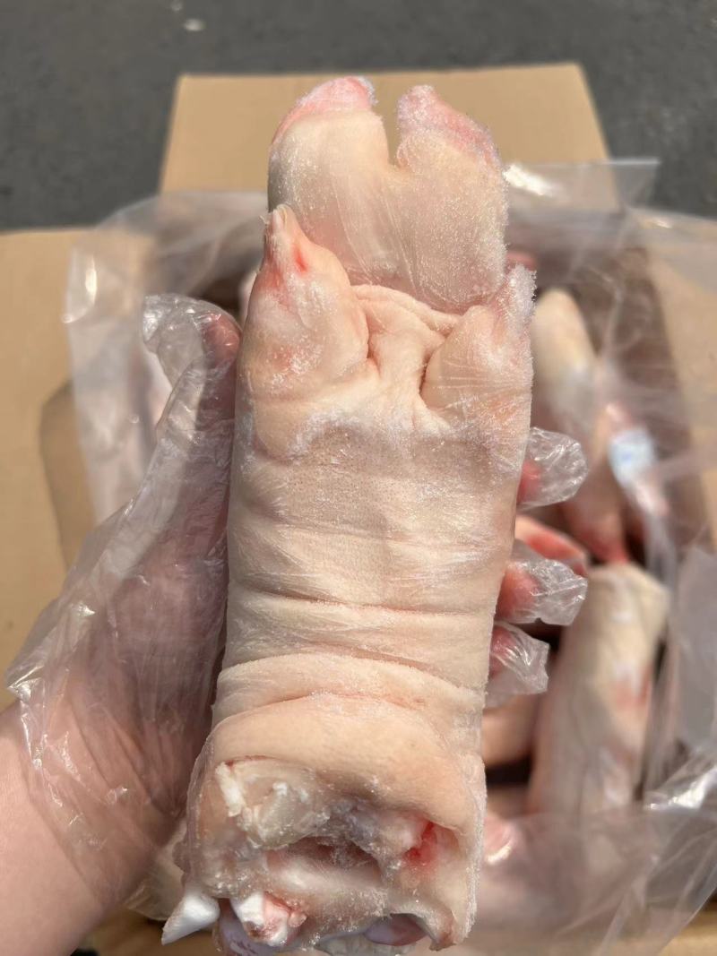 牧原带筋猪蹄18-22个全国发货