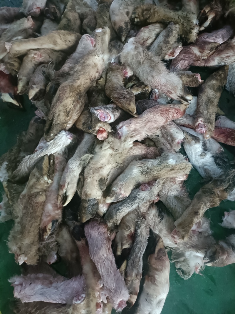 200吨羊蹄出售/量大从优/工厂直发/欢迎下单