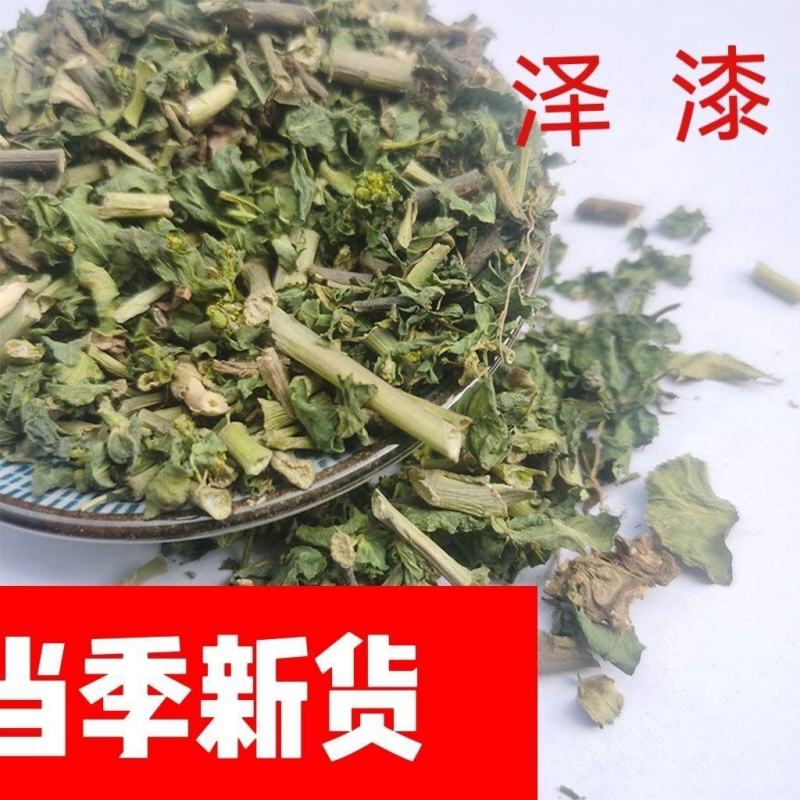 泽七中药材野生泽漆五朵云灯台草猫眼草新货泽漆批发零售