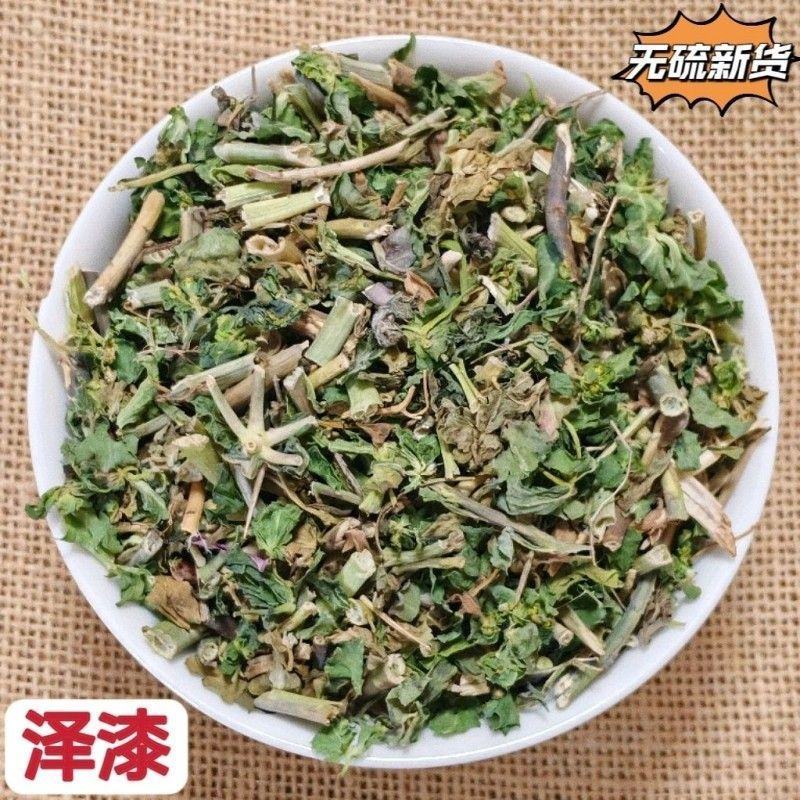 泽七中药材野生泽漆五朵云灯台草猫眼草新货泽漆批发零售