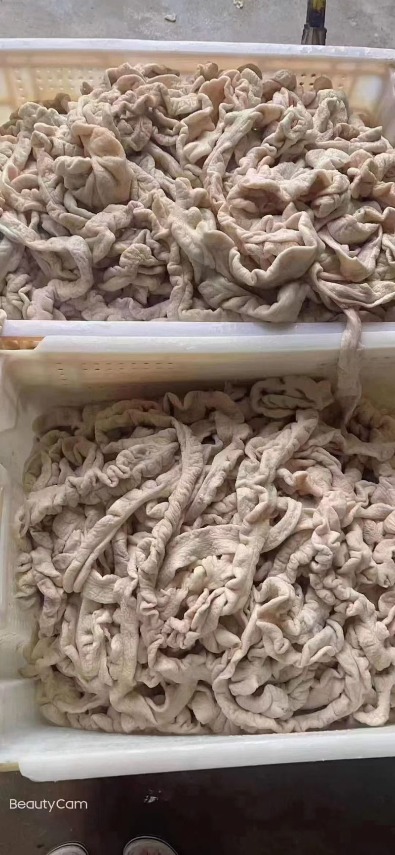 纯干熟猪大肠