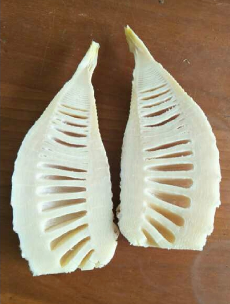 推荐湖南春笋肉笋肉剥皮品质保证新鲜现货欢迎联系