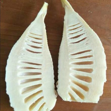推荐湖南春笋肉笋肉剥皮品质保证新鲜现货欢迎联系