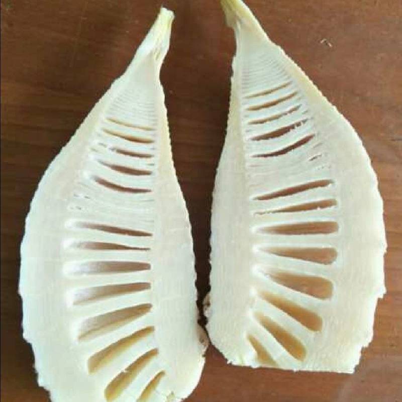 推荐湖南春笋肉笋肉剥皮品质保证新鲜现货欢迎联系