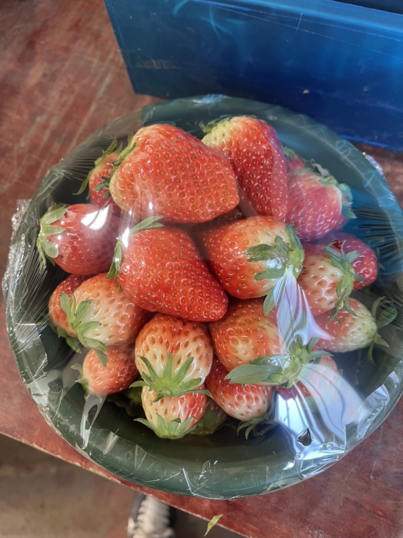 陕西西安红玉草莓