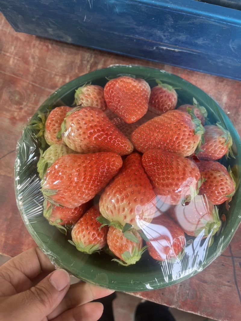 陕西西安红玉草莓