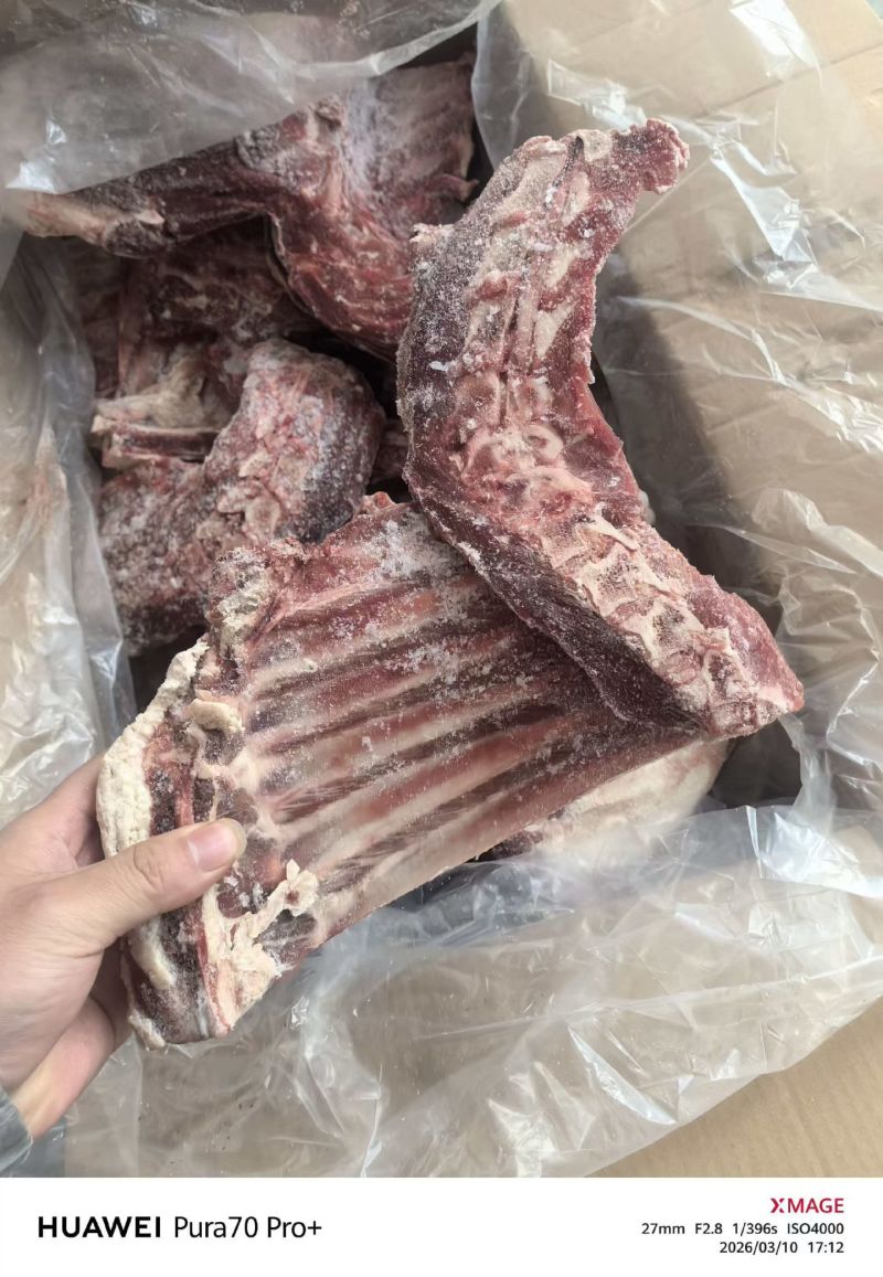 羊方肩骨