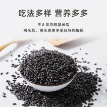 君安栗东北黑米黑香米货源充足对接商超批发商欢迎致电