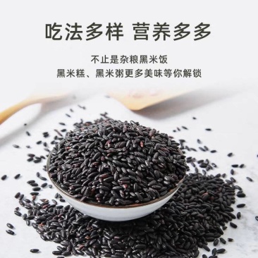 君安栗东北黑米黑香米货源充足对接商超批发商欢迎致电