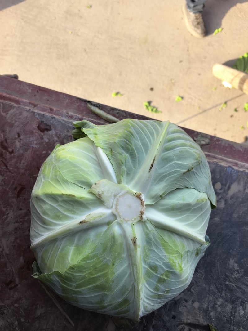 湖北京丰一号大量上市，对接市场，商超，电商