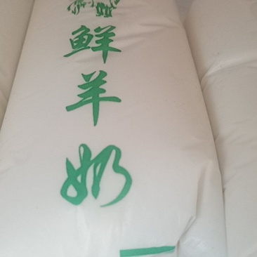 新鲜羊奶现挤现卖
