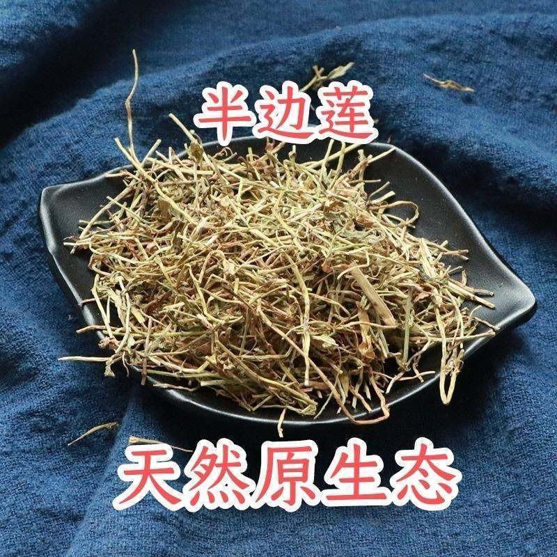 野生半边莲中药材新鲜半边莲干货半边连草半边花草药批发零售