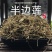 野生半边莲中药材新鲜半边莲干货半边连草半边花草药批发零售