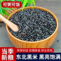 鹏胜黑米黑香米货源充足价格优惠可视频看货欢迎致电咨询