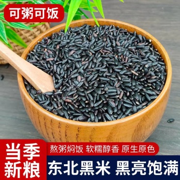 鹏胜黑米黑香米货源充足价格优惠可视频看货欢迎致电咨询